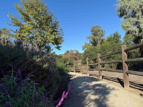 1564 Manzanita Hollows Lane, Vista CA 92084