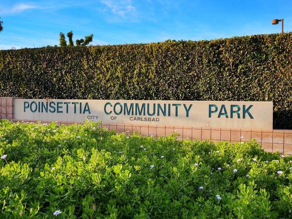 6848 Briarwood Drive, Carlsbad CA 92011