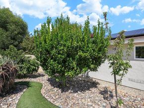 10336 Don Pico Ct, Spring Valley CA 91978