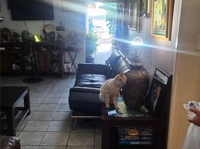 2313 Downie Place, Santa Ana CA 92706