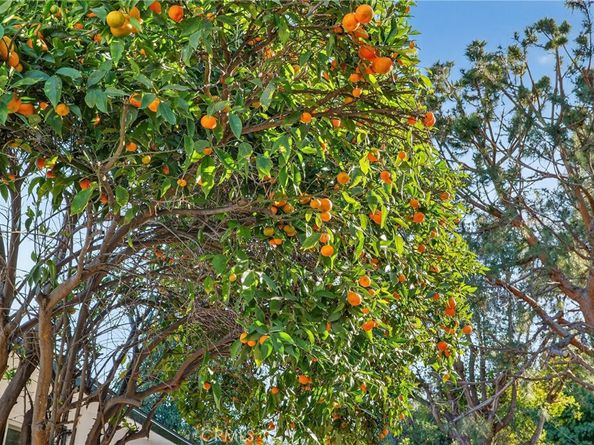 7100 E Atherton Drive, Long Beach CA 90815