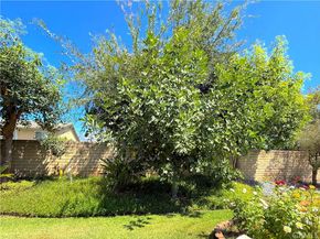 6441 Napa Avenue, Rancho Cucamonga CA 91701