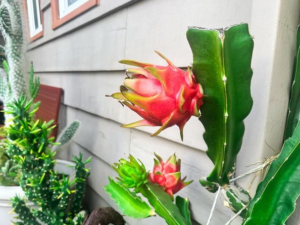 2425 Heather Avenue, Long Beach CA 90815