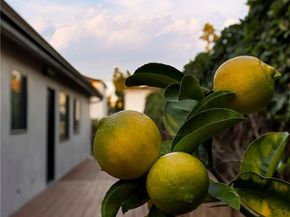 1247 25th Street, Santa Monica CA 90404