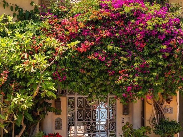 5143 Shore Drive, Carlsbad CA 92008