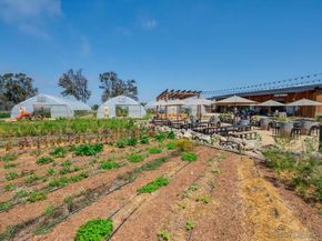 1400 Anacona Place 201, Encinitas CA 92024