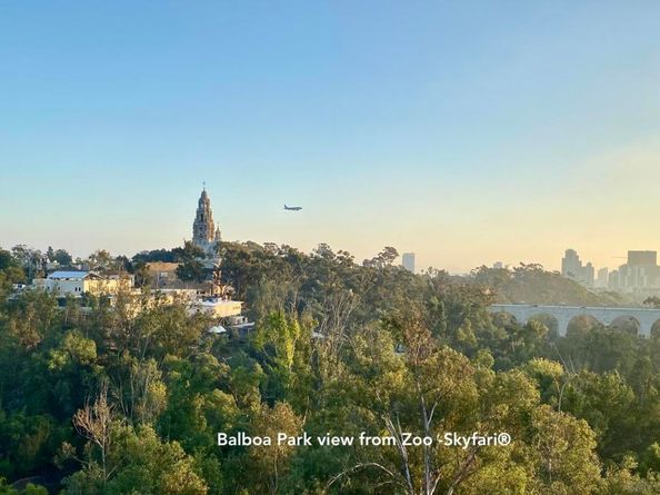 3740 Park Blvd 210, San Diego CA 92103