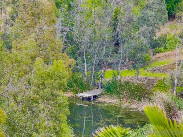 3485 Lone Jack Road, Encinitas CA 92024