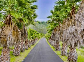 3485 Lone Jack Road, Encinitas CA 92024