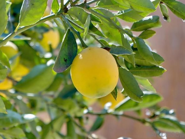 109 E Street, Chula Vista CA 91910