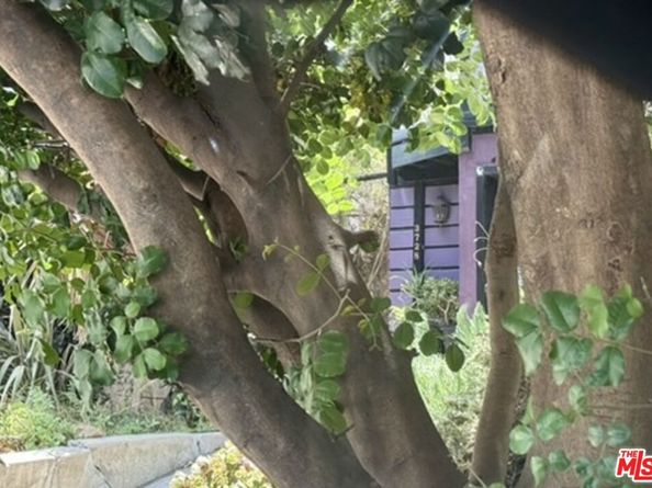 3728 York Boulevard, Los Angeles CA 90065