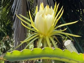 3728 York Boulevard, Los Angeles CA 90065