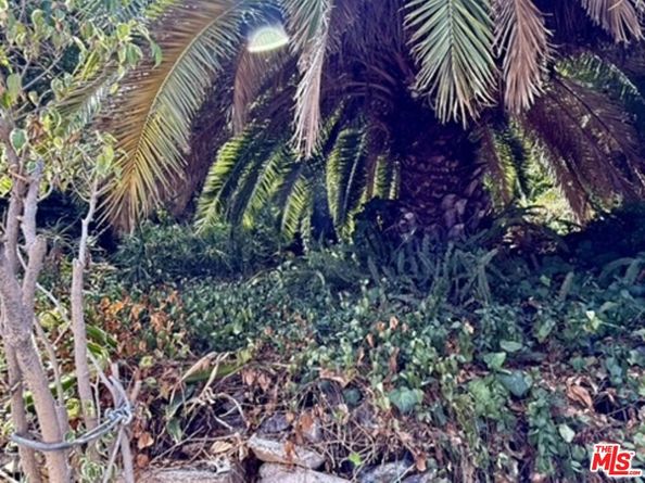 3728 York Boulevard, Los Angeles CA 90065