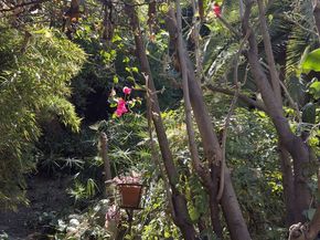 3728 York Boulevard, Los Angeles CA 90065