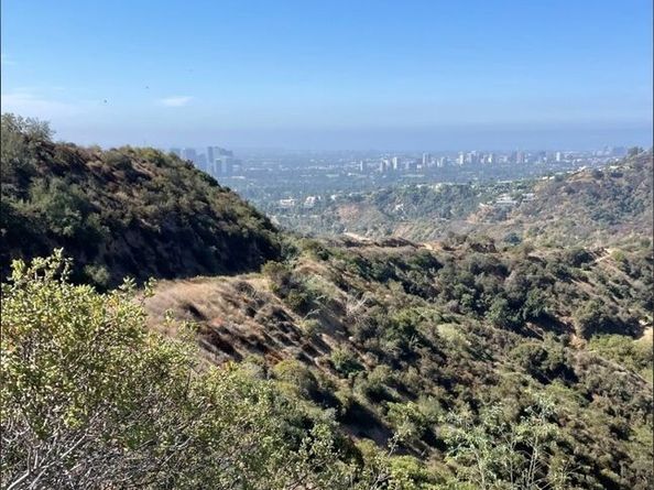 12603 Moorpark Street 304, Studio City CA 91604