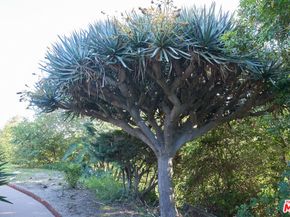 11222 Bellagio Road, Los Angeles CA 90049