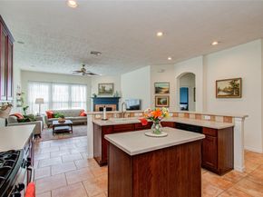 20007 Alcea Court, Spring TX 77379