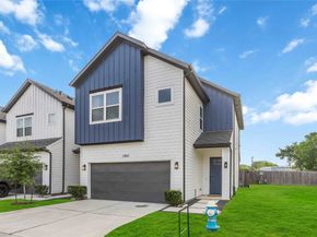 13138 Perennial Springs Drive, Houston TX 77048