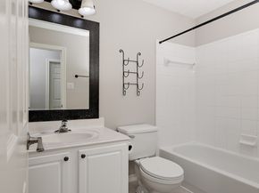 11 Scenic Brook Court, The Woodlands TX 77382