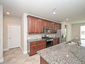 15206 Armadillo Lookout Trail, Cypress TX 77433