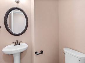 20527 S Blue Hyacinth Drive, Cypress TX 77433