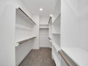 3118 Wentworth Street, Houston TX 77004