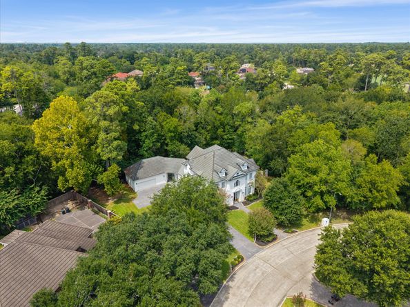 17310 Cedar Placid Lane, Houston TX 77068