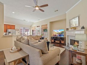 6 Sheltered Arbor Court, The Woodlands TX 77382