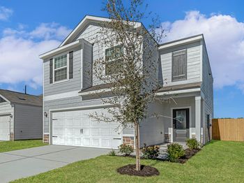 8202 Sunberry Shadow Drive