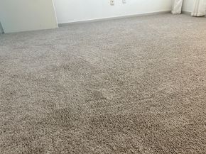 16039 Surrey Woods Drive, Friendswood TX 77546