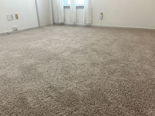 16039 Surrey Woods Drive, Friendswood TX 77546