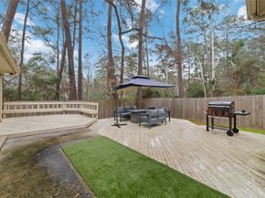 36 N Rain Forest Court, Spring TX 77380