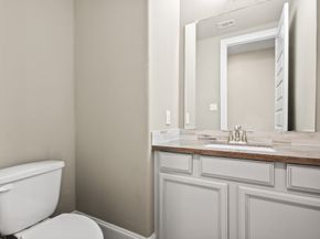 14 Trailing Lantana Place, The Woodlands TX 77354