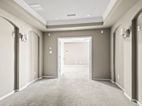 14 Trailing Lantana Place, The Woodlands TX 77354