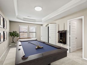 14 Trailing Lantana Place, The Woodlands TX 77354