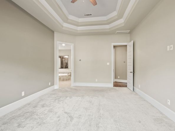 14 Trailing Lantana Place, The Woodlands TX 77354