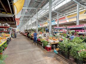 1847 Cortlandt Street, Houston TX 77008