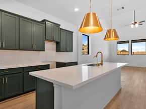 21918 Pecan Buff Drive, Waller TX 77484