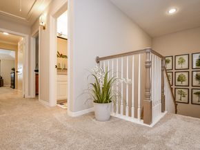 4309 Lake Walk Court, Missouri City TX 77459