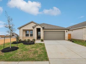 17411 Butterfly Orchid Lane, Waller TX 77484