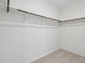 17411 Butterfly Orchid Lane, Waller TX 77484