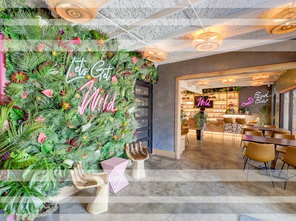 1912 Taft Street, Houston TX 77006