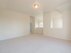 1119 Palmer Street, Houston TX 77003