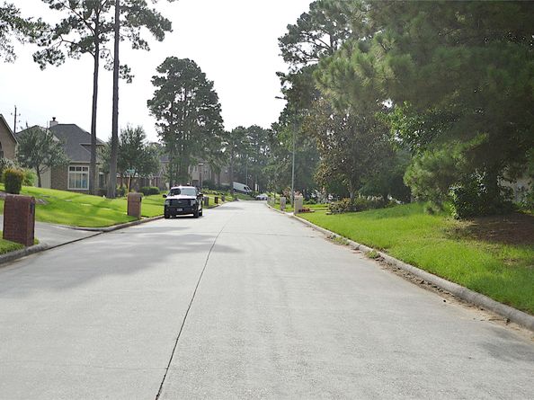 19222 Aquatic Drive, Houston TX 77346