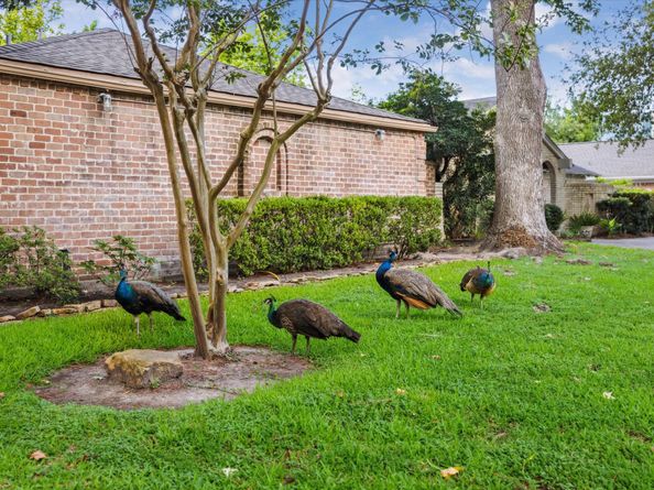 10002 Wickersham Lane, Houston TX 77042