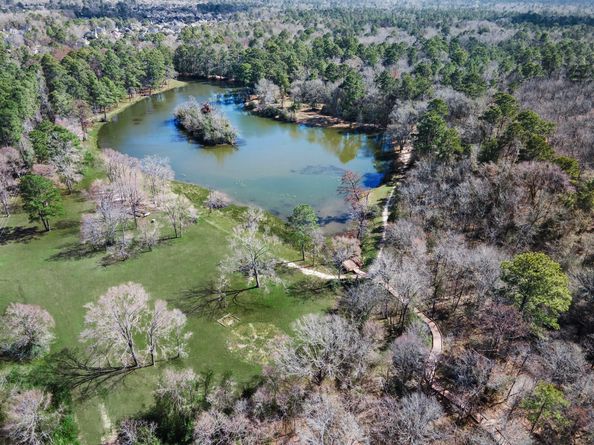 1319 Allison Meadows Court, Spring TX 77386