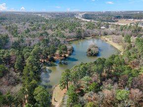1319 Allison Meadows Court, Spring TX 77386