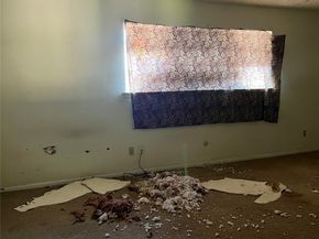 13527 Castilian Drive 1, Houston TX 77015