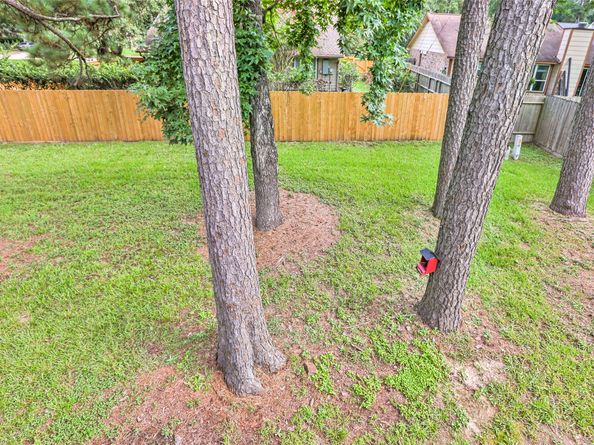 3203 Sycamore Springs Drive, Kingwood TX 77339