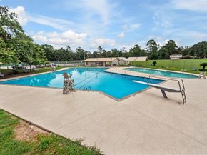 25747 Timber Lakes Drive, Spring TX 77380